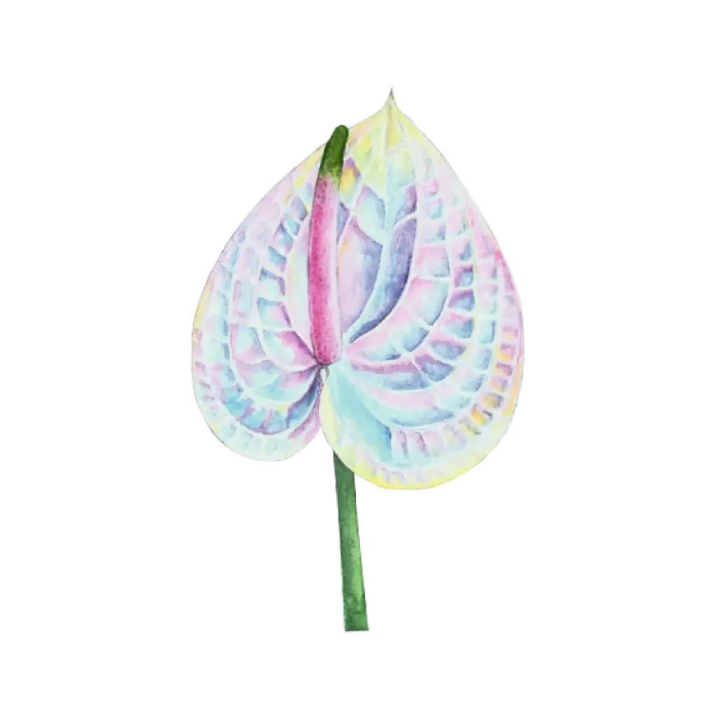 Anthurium Hologram : Sticker        