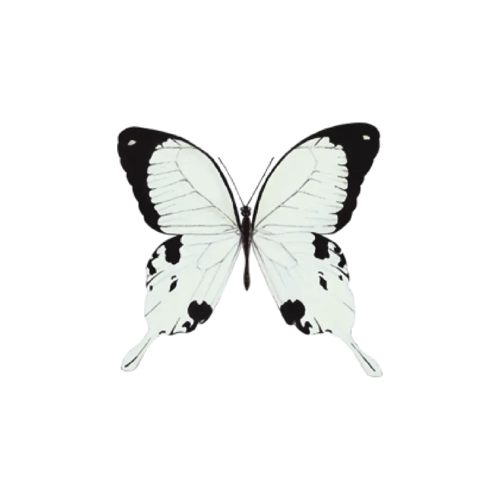  Butterfly Black & White : Sticker           