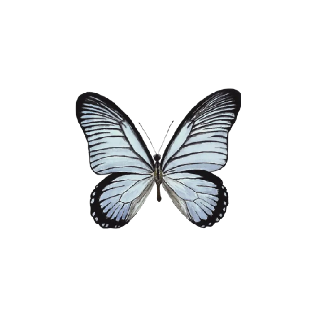 Butterfly Blue : Sticker           