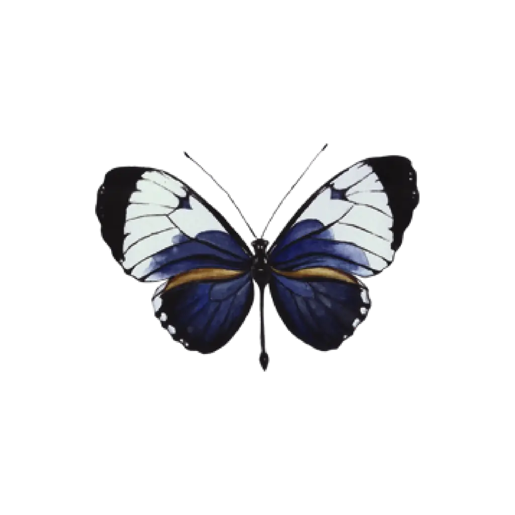  Butterfly Navy White : Sticker            