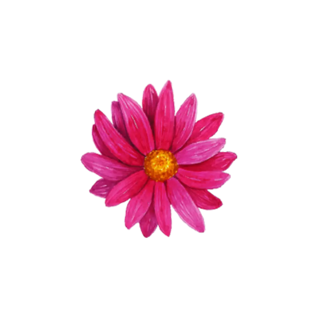 Chrysanthemum Hot Pink Front : Sticker                