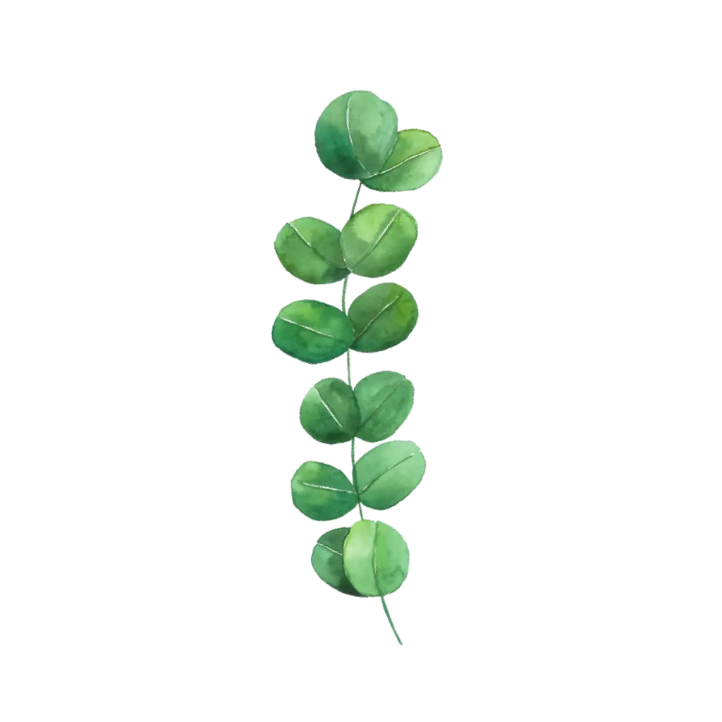 Eucayptus 2 : Sticker                    