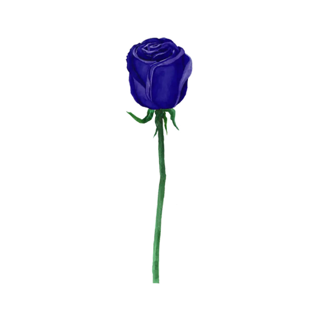 Rose Blue Side : Sticker                                     