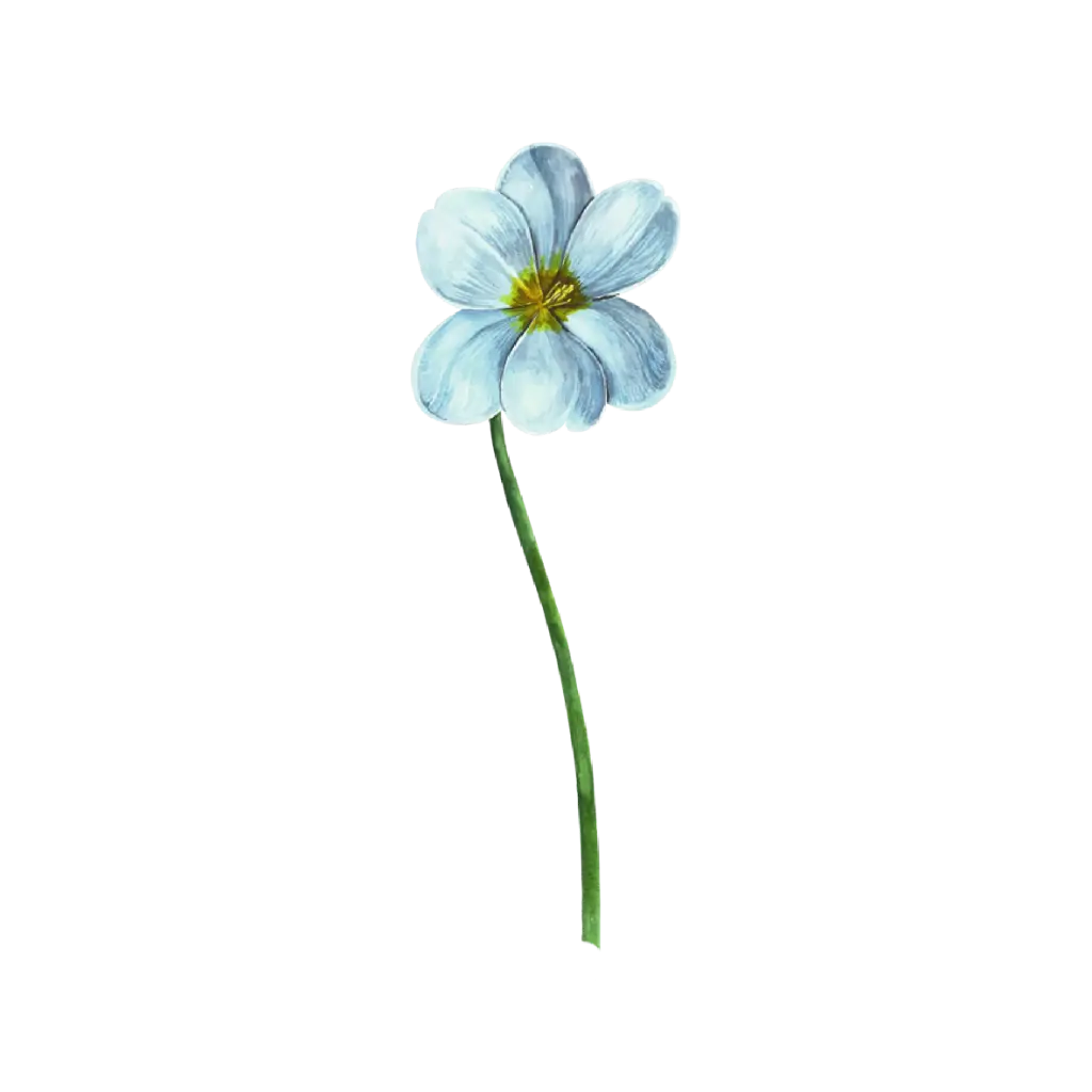 Tulip Dye Blue Long : Sticker                                                   