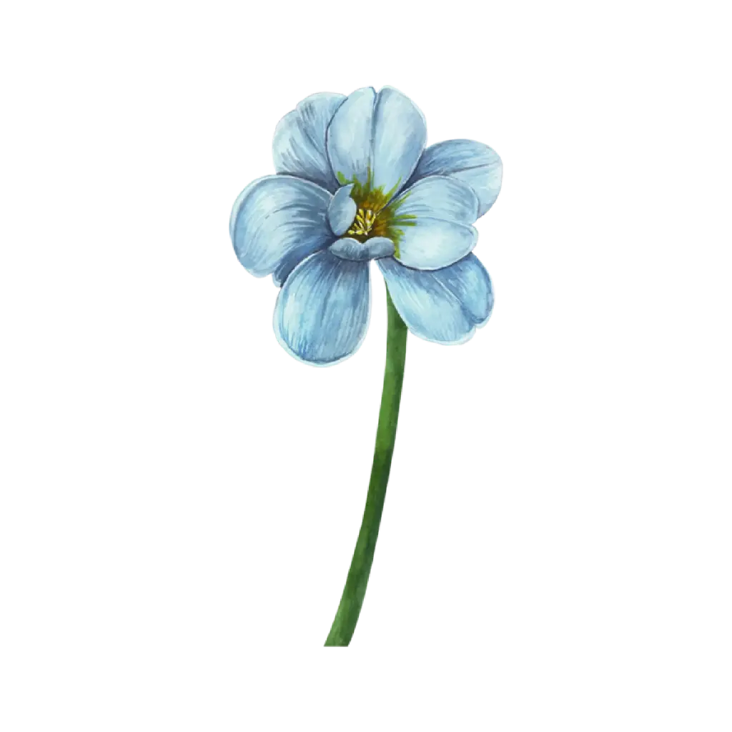 Tulip Dye Blue Short : Sticker                                                    
