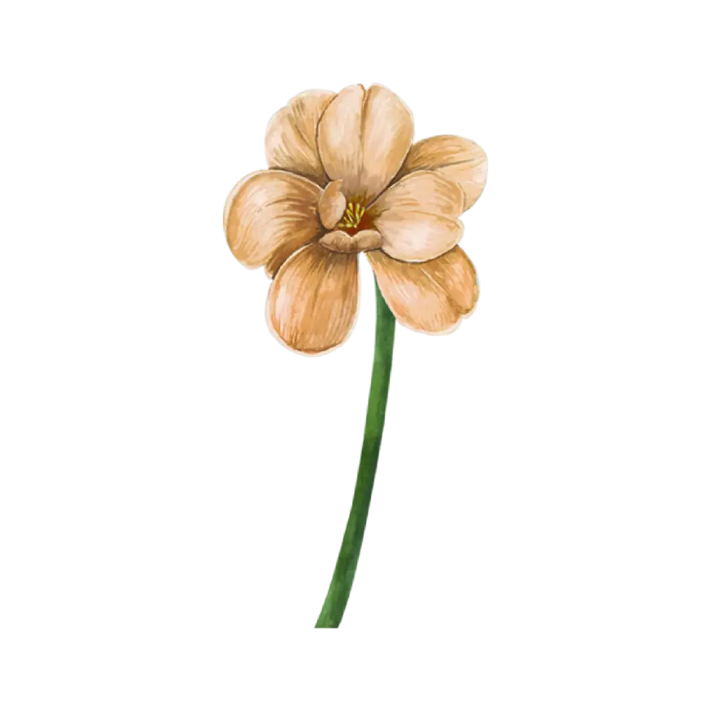 Tulip Dye Brown Short : Sticker                                                      