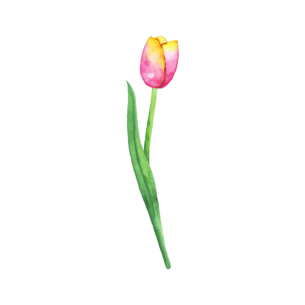 Tulip Yellow Pink Left : Sticker                                                       