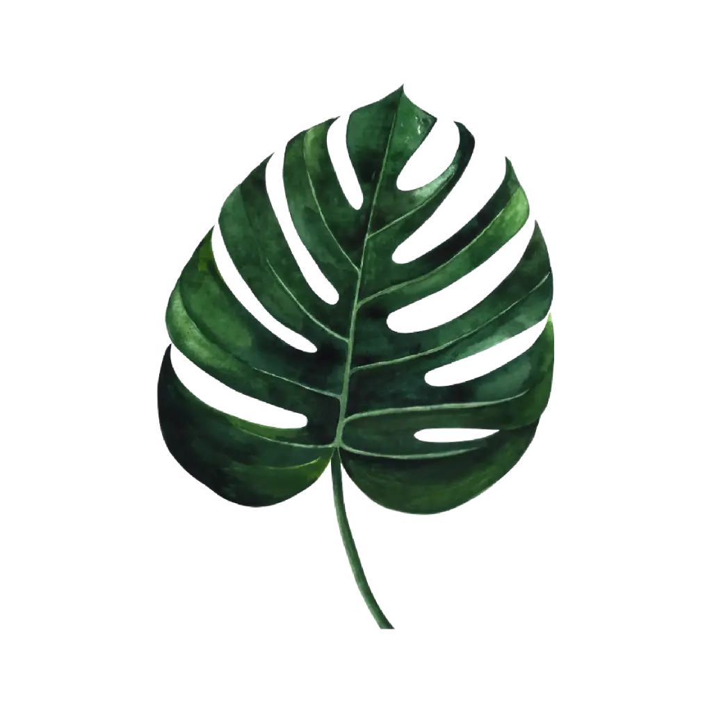 Monstera  Green: Sticker                         