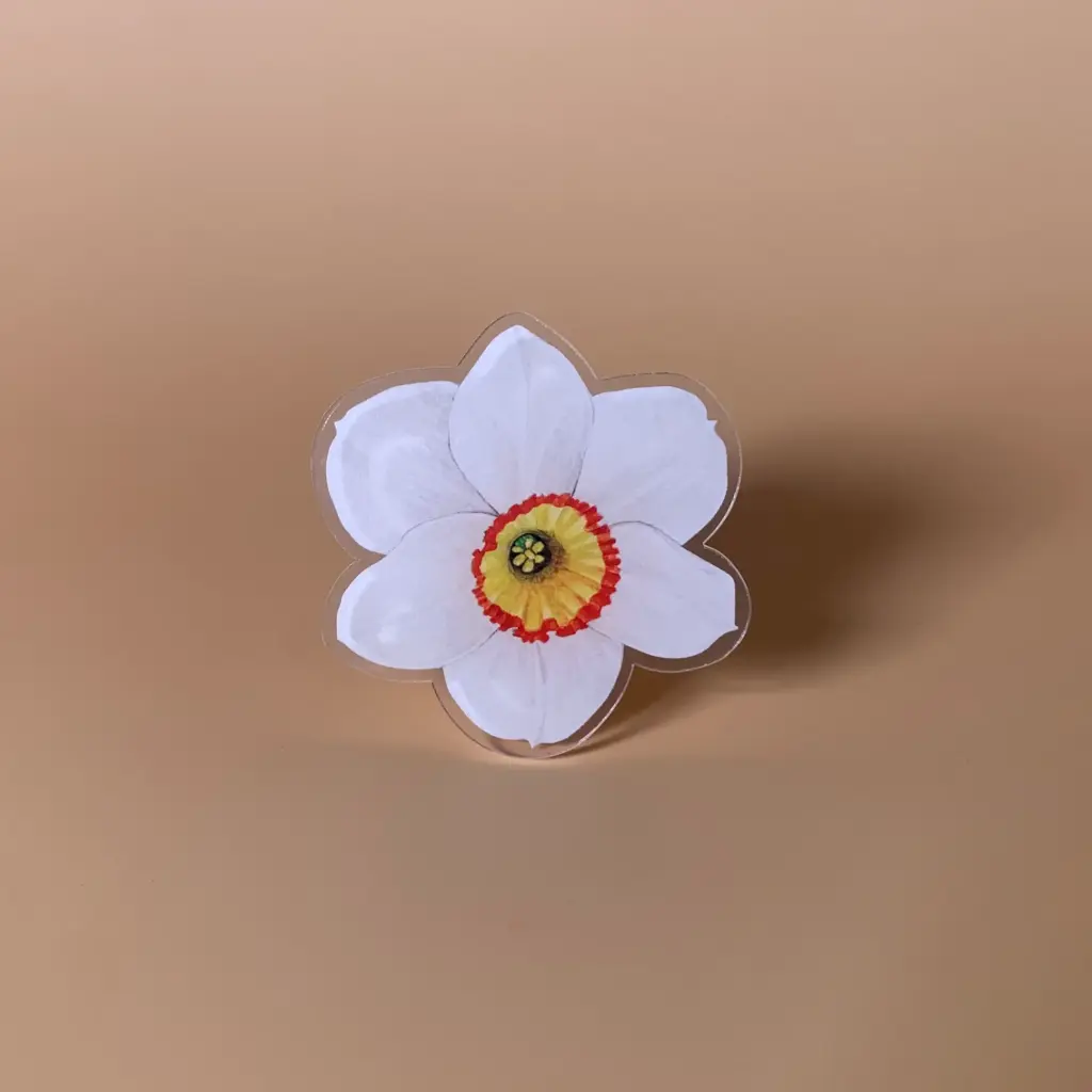 Daffodil : Flower Griptok