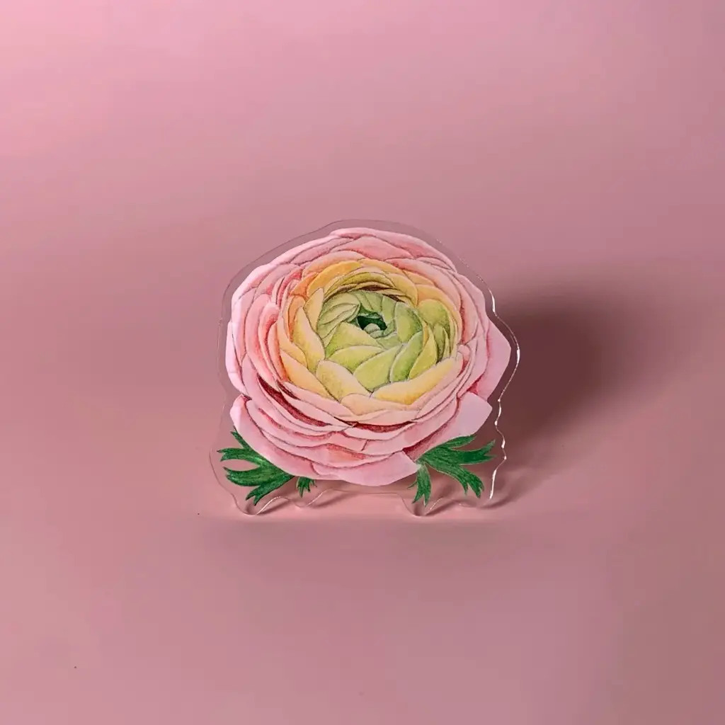 Ranunculus : Flower Griptok