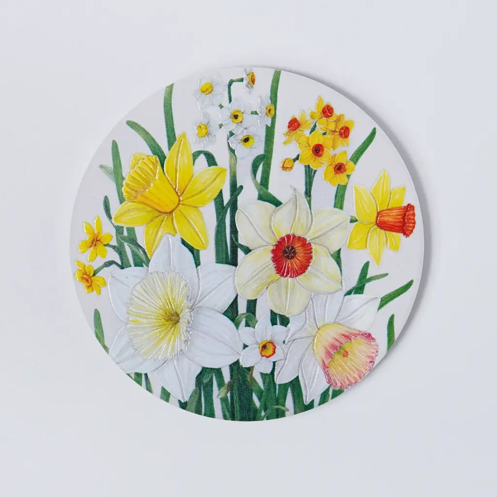 Daffodil : Coaster
