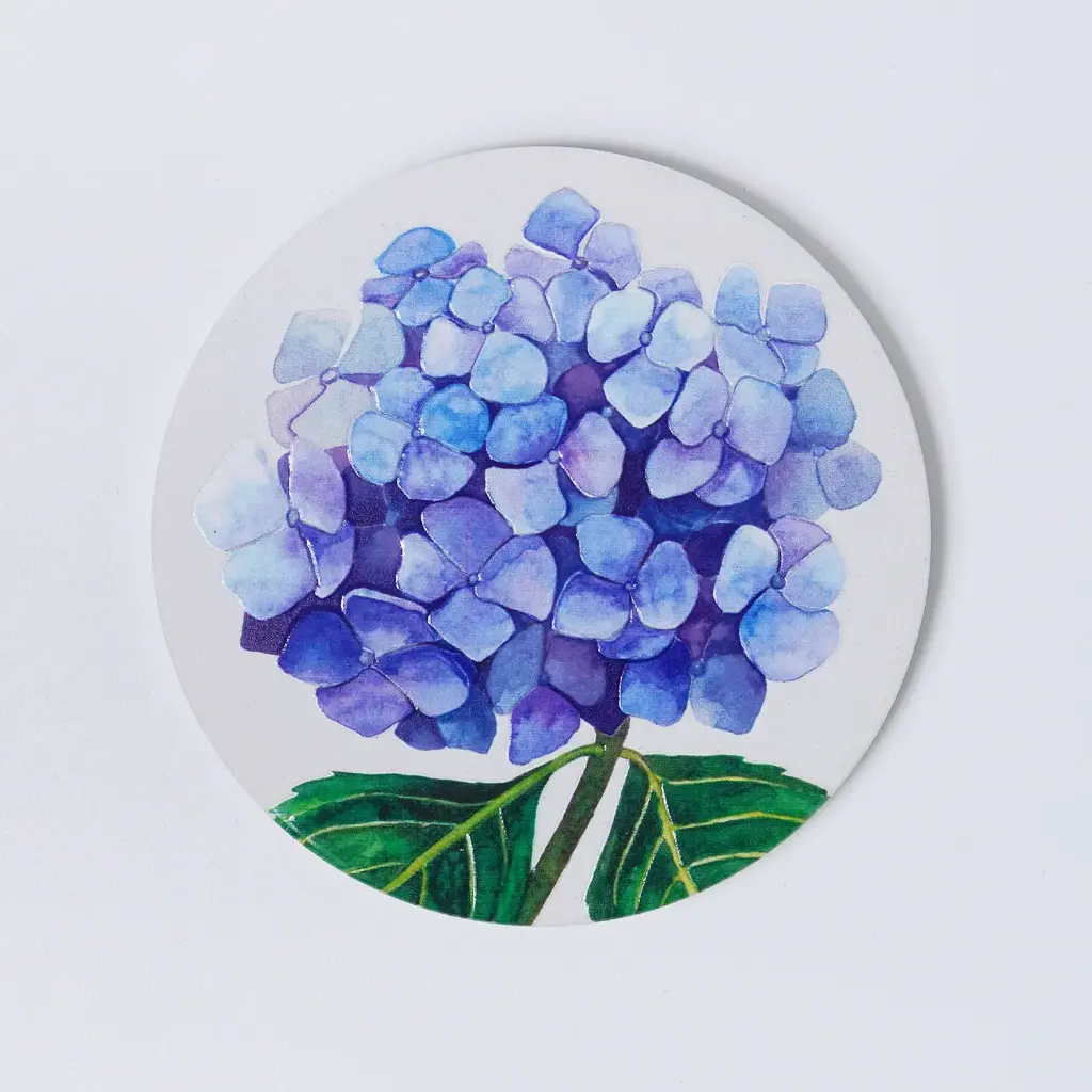 Hydrangea : Coaster