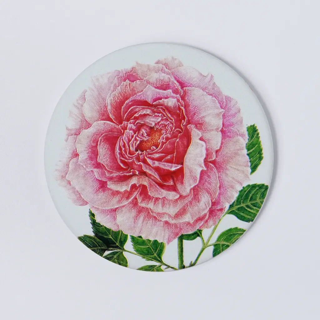 Pink Rose : Coaster
