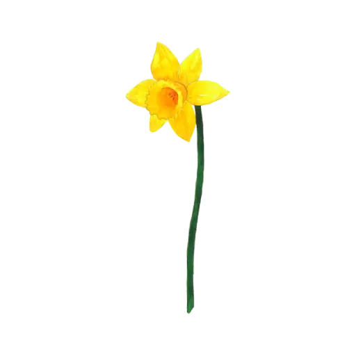 Daffodil Yellow Left : Sticker                
