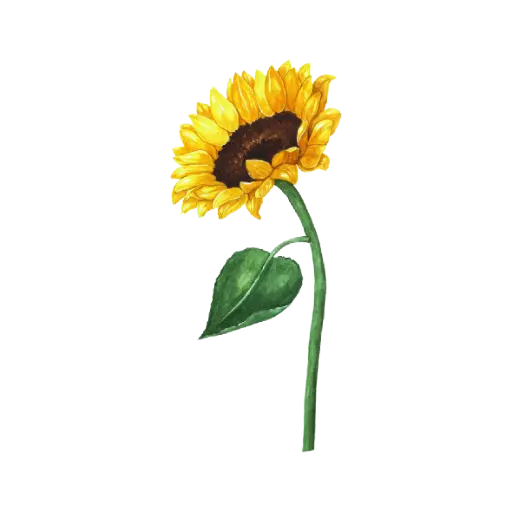 Sunflower Side : Sticker                                                 
