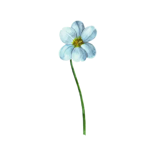 Tulip Dye Blue Long : Sticker                                                   