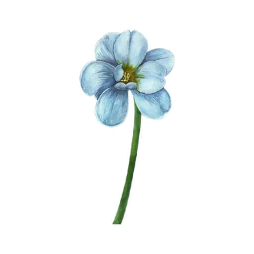 Tulip Dye Blue Short : Sticker                                                    