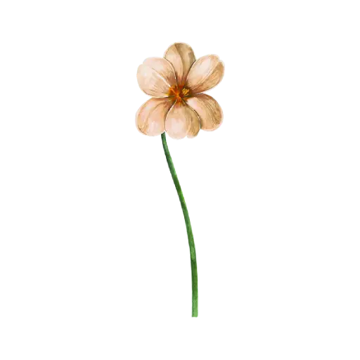 Tulip Dye Brown Long: Sticker                                                     