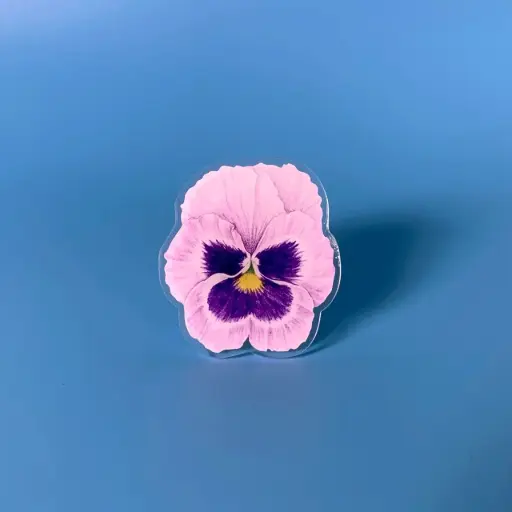 Pansy : Flower Griptok