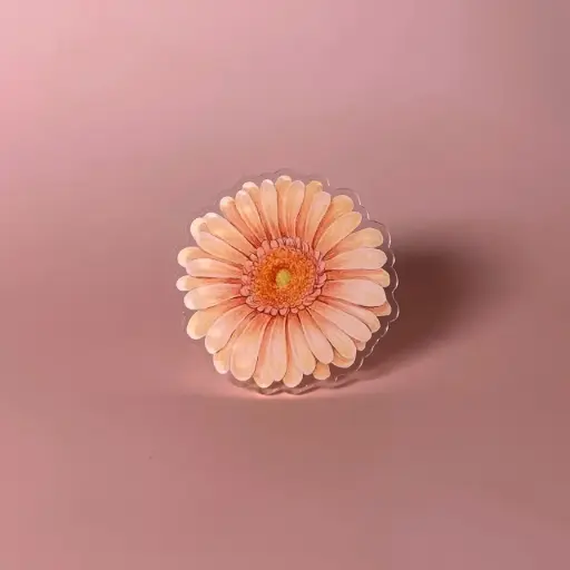 Gerbera : Flower Griptok