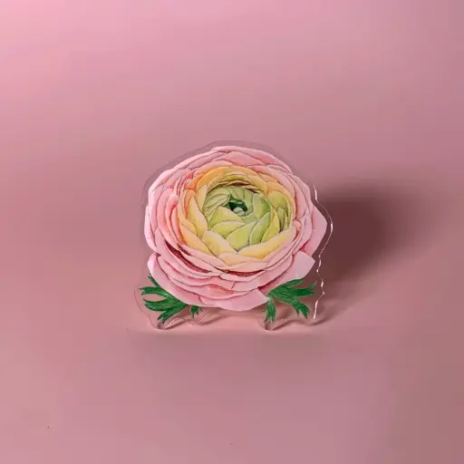 Ranunculus : Flower Griptok