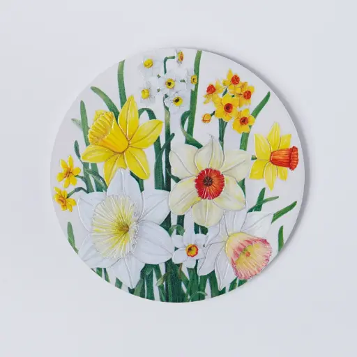 Daffodil : Coaster