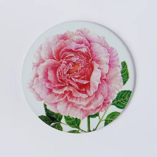 Pink Rose : Coaster