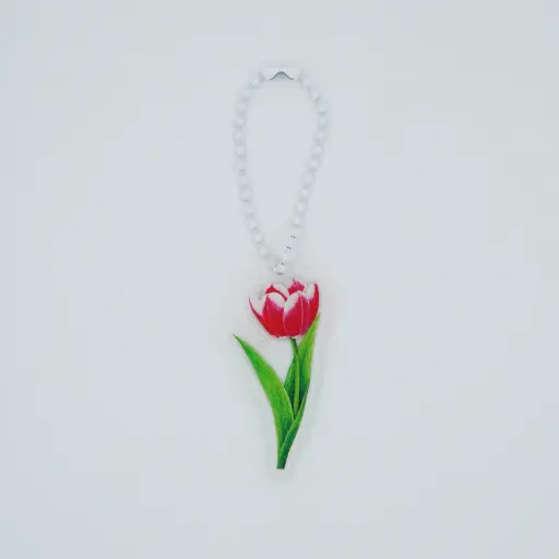Tulip red white : Keychain